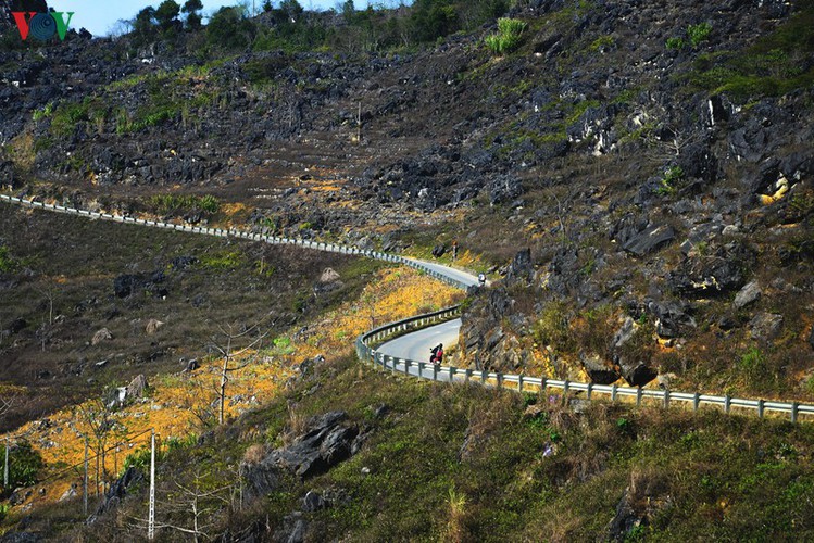 discovering hanh phuc winding road of ha giang hinh 3