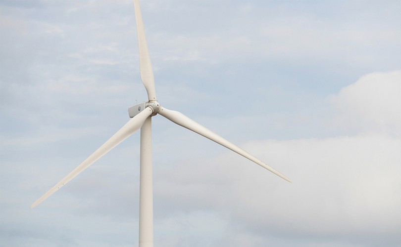 exploring unique offshore wind farm in bac lieu hinh 3