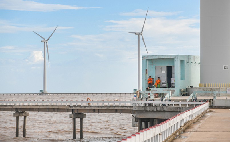 exploring unique offshore wind farm in bac lieu hinh 5