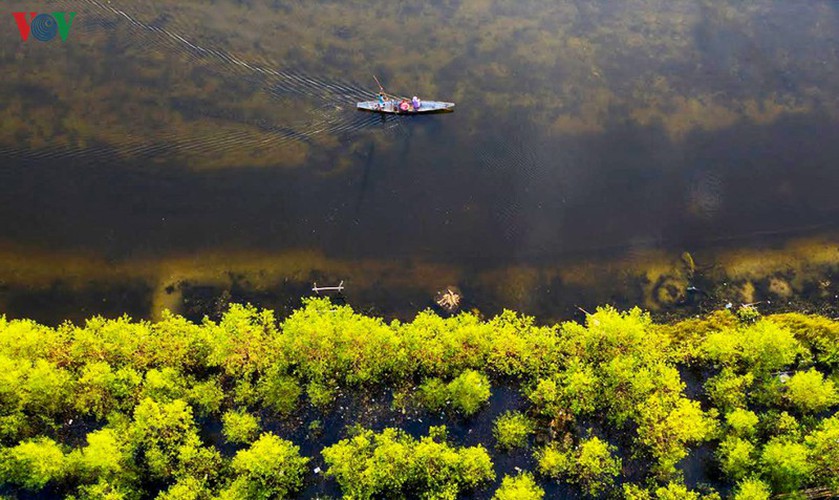 quang loi lagoon deemed must-visit destination in thua thien hue hinh 10