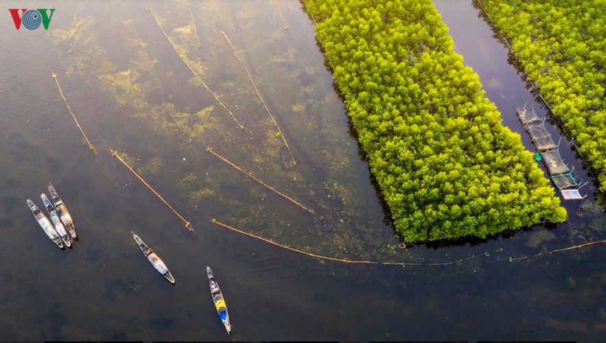 quang loi lagoon deemed must-visit destination in thua thien hue hinh 1