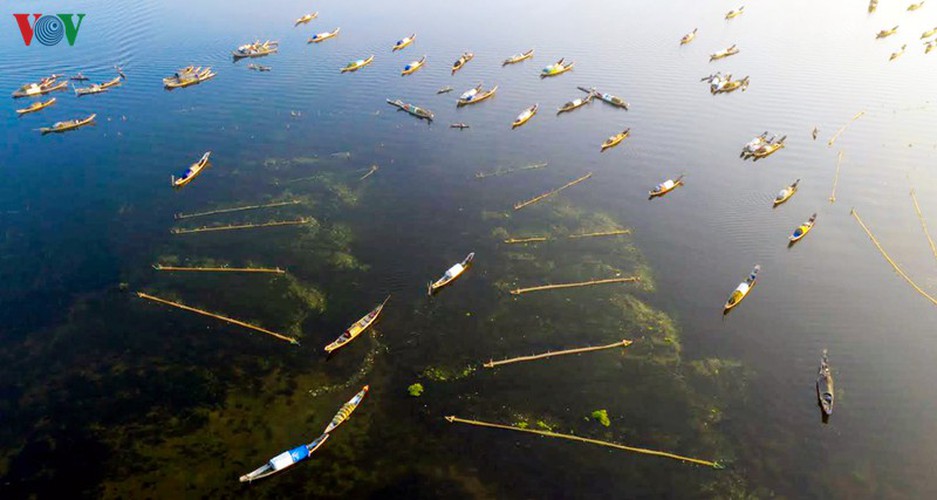 quang loi lagoon deemed must-visit destination in thua thien hue hinh 3