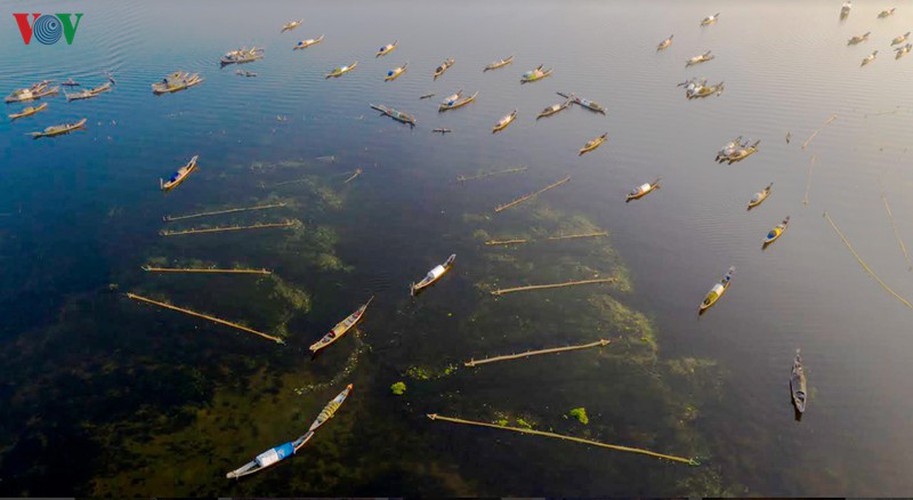 quang loi lagoon deemed must-visit destination in thua thien hue hinh 4