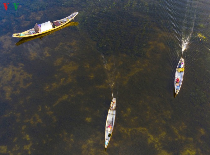 quang loi lagoon deemed must-visit destination in thua thien hue hinh 8