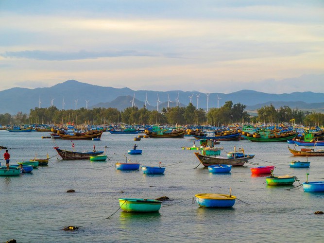 discovering stunning ninh chu beach in ninh thuan province hinh 11