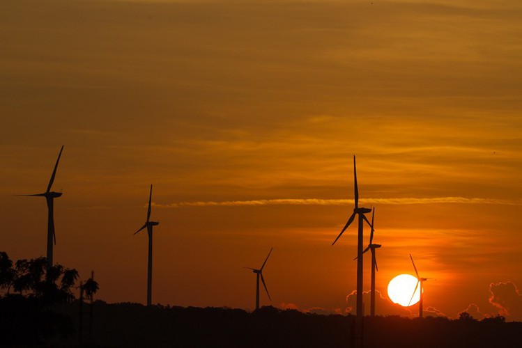 discovering stunning ninh chu beach in ninh thuan province hinh 5