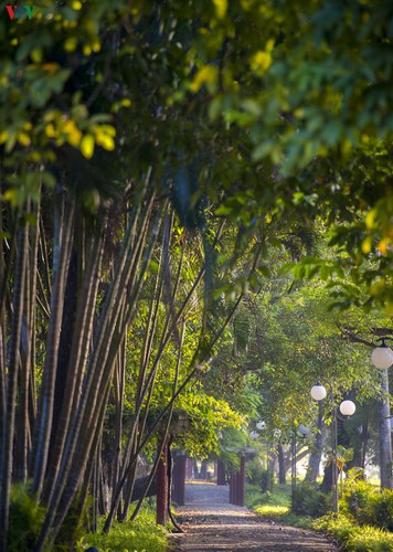 hue imperial city appears at its scenic best in autumn hinh 4