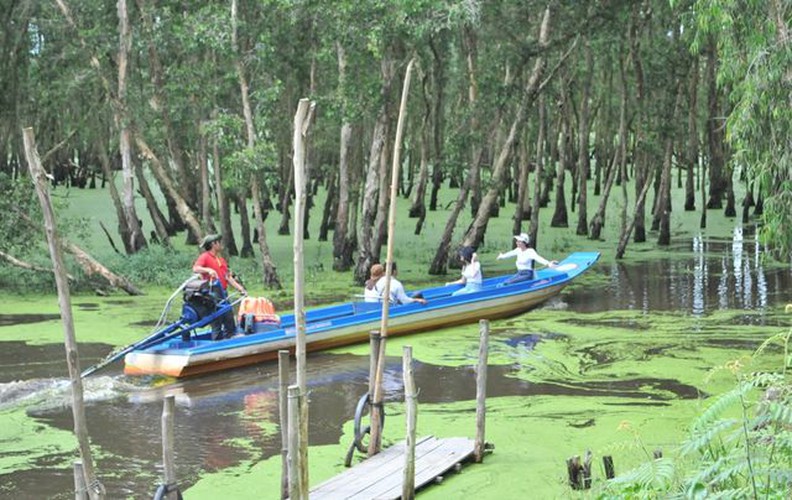 tra su indigo forest proves popular attraction among visitors hinh 3