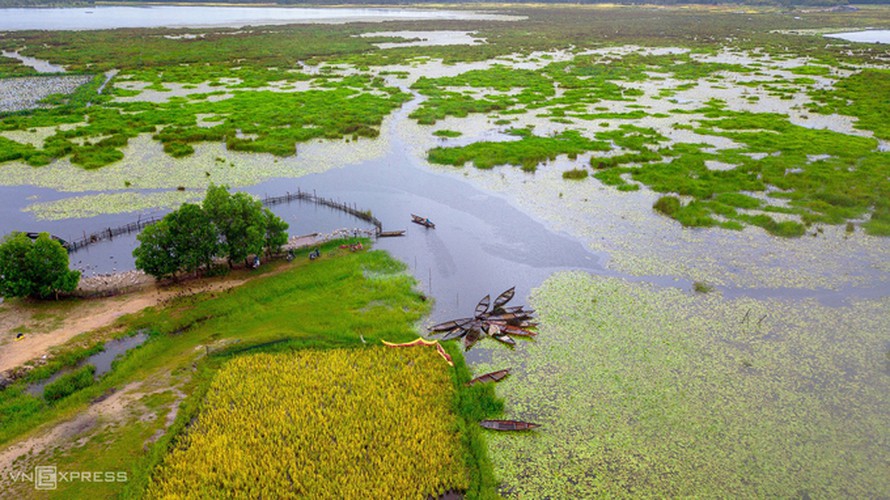 discovering bai say - dam river area close to tam ky city hinh 1