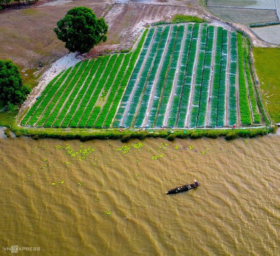 discovering bai say - dam river area close to tam ky city hinh 6