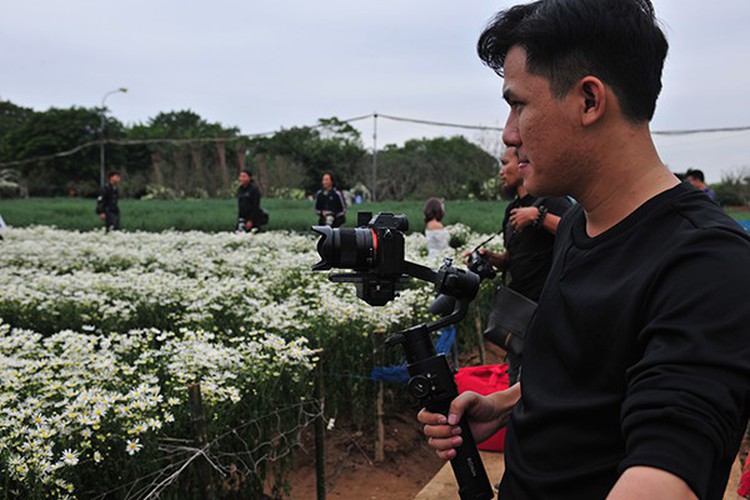 young people flock to witness ox-eye daisy gardens in hanoi hinh 7