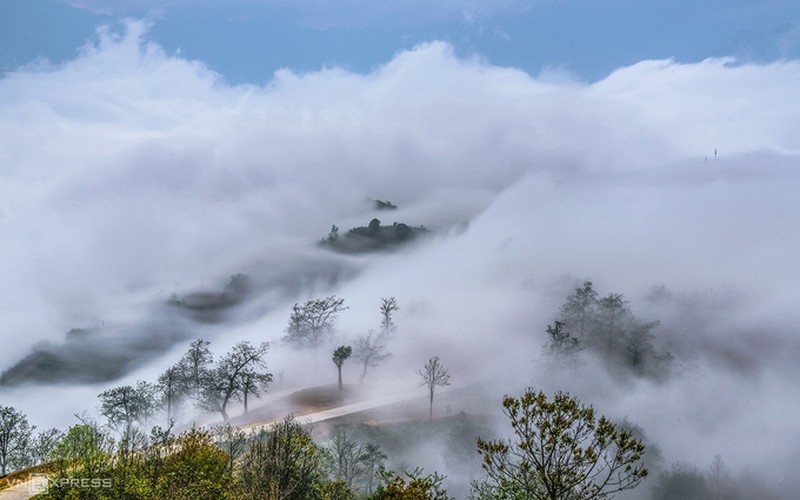 y ty cloud hunting season in lao cai province hinh 10