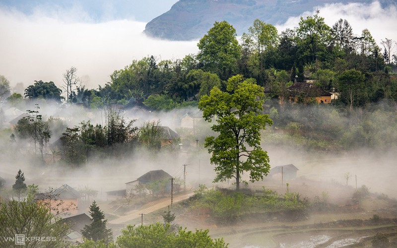 y ty cloud hunting season in lao cai province hinh 5