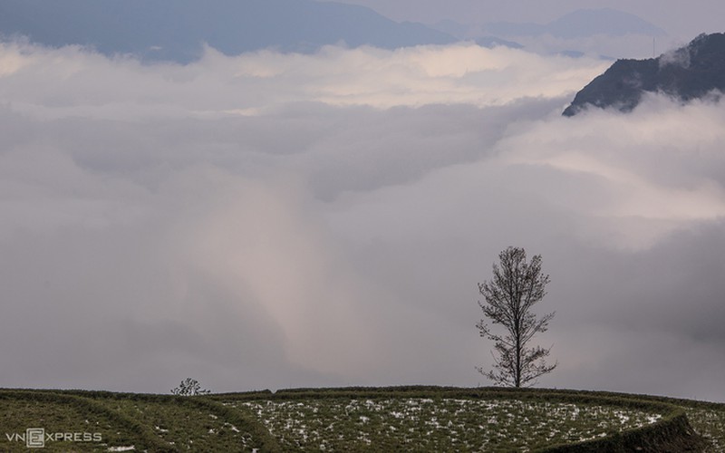 y ty cloud hunting season in lao cai province hinh 8