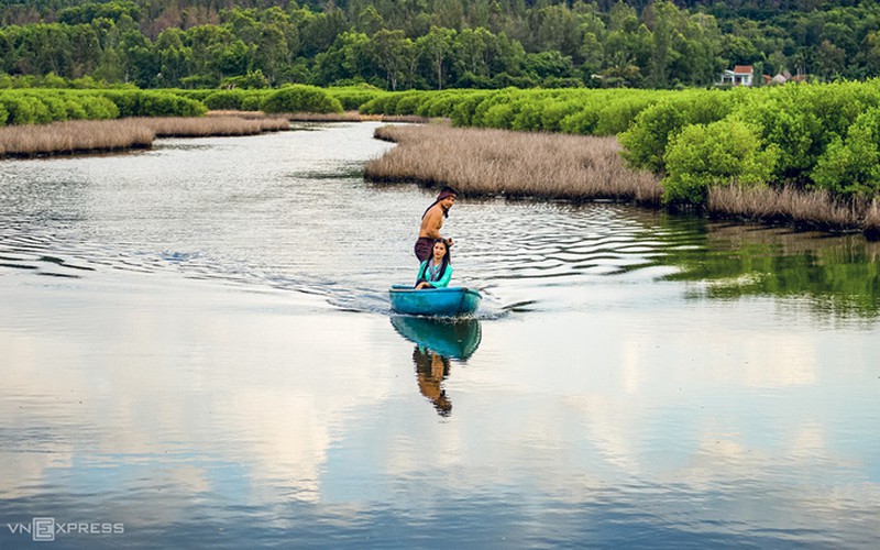 discovering bau ca cai mangrove forest in quang ngai hinh 8