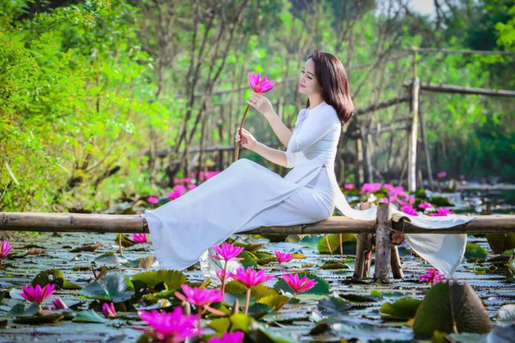 discovering stunning water lilies of yen stream hinh 11