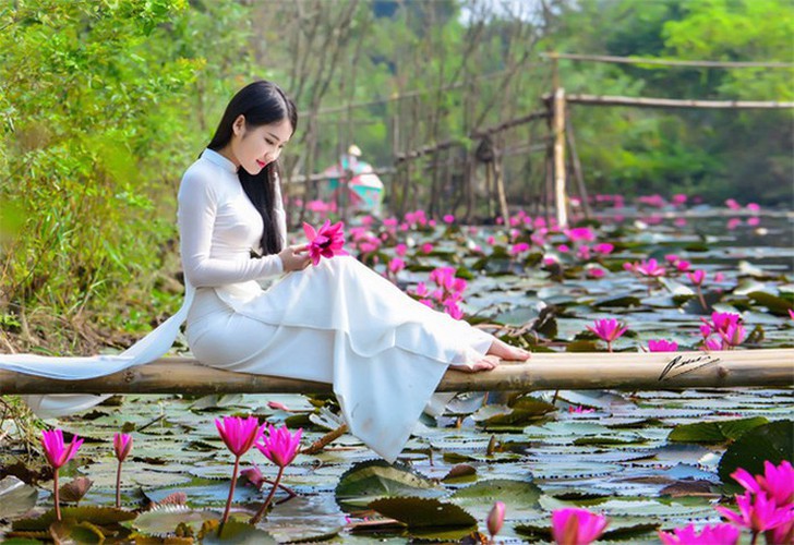 discovering stunning water lilies of yen stream hinh 9