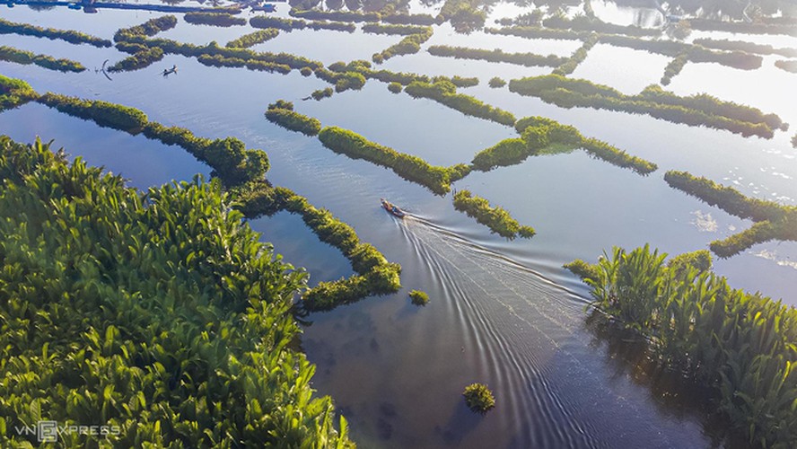 discovering tinh khe coconut water forest in quang ngai hinh 4