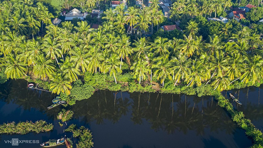 discovering tinh khe coconut water forest in quang ngai hinh 6