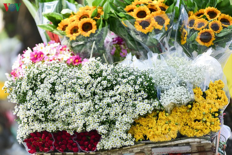 ox-eye daises flood the streets of hanoi hinh 3