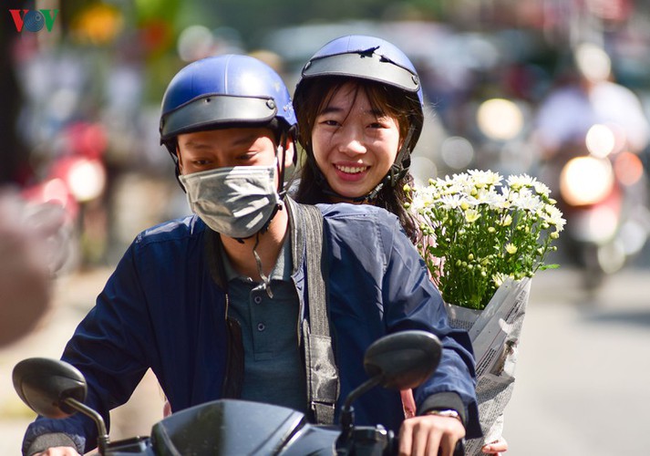 ox-eye daises flood the streets of hanoi hinh 7