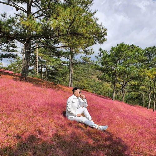 discovering stunning pink grass hills of da lat hinh 1