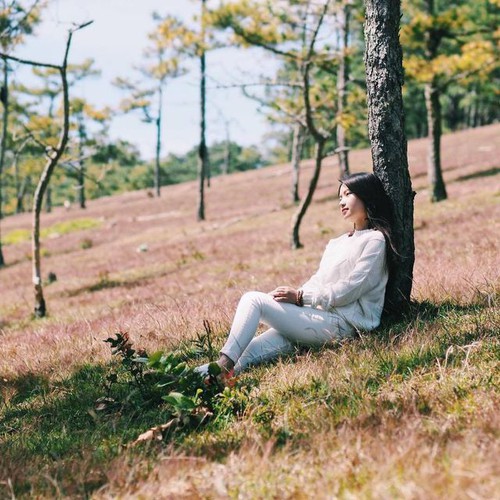 discovering stunning pink grass hills of da lat hinh 7