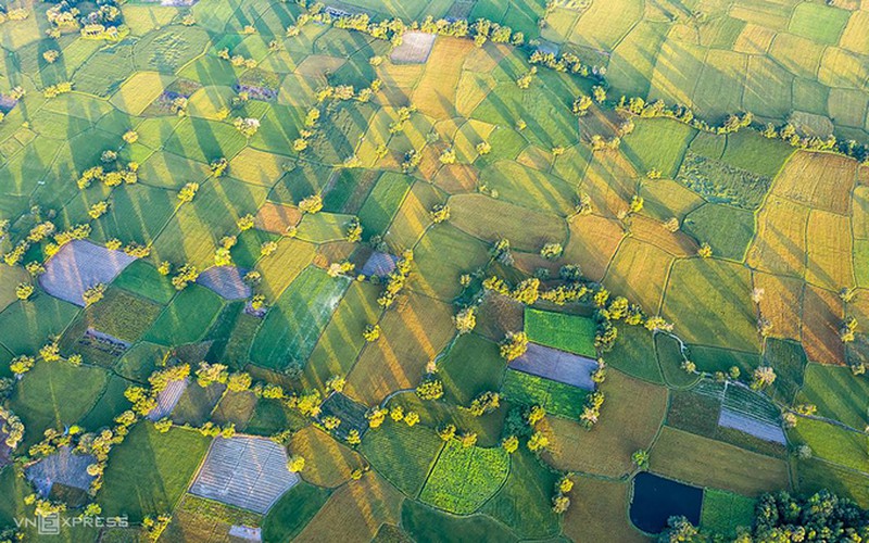 exploring picturesque ta pa paddy fields from height hinh 1