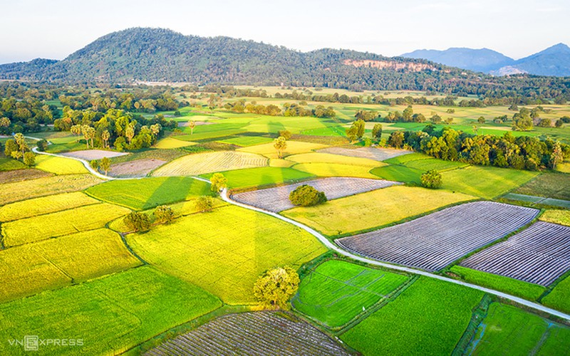 exploring picturesque ta pa paddy fields from height hinh 4