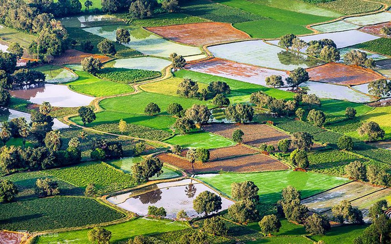 exploring picturesque ta pa paddy fields from height hinh 8