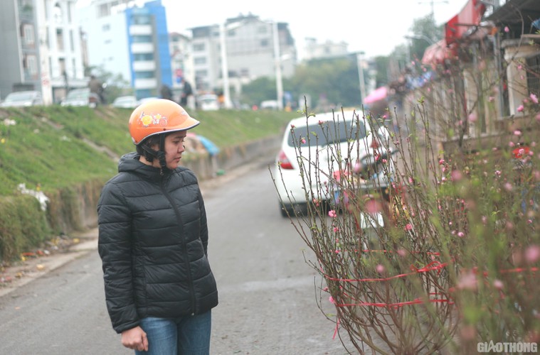 nhat tan peach blossoms signal first signs of tet in hanoi hinh 2