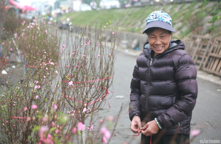 nhat tan peach blossoms signal first signs of tet in hanoi hinh 3