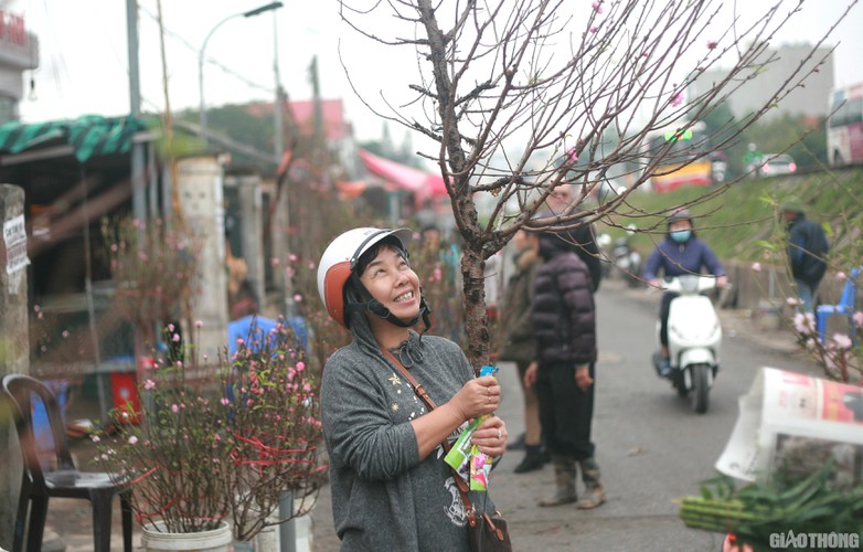 nhat tan peach blossoms signal first signs of tet in hanoi hinh 9