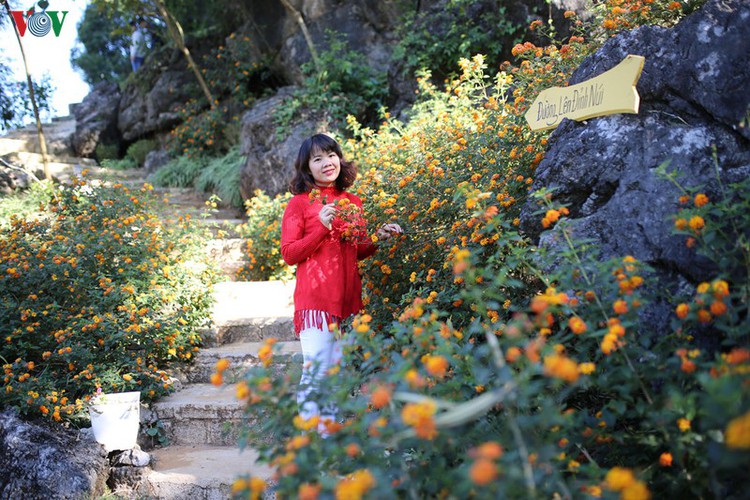 exploring pictureque moc mountain in moc chau hinh 1