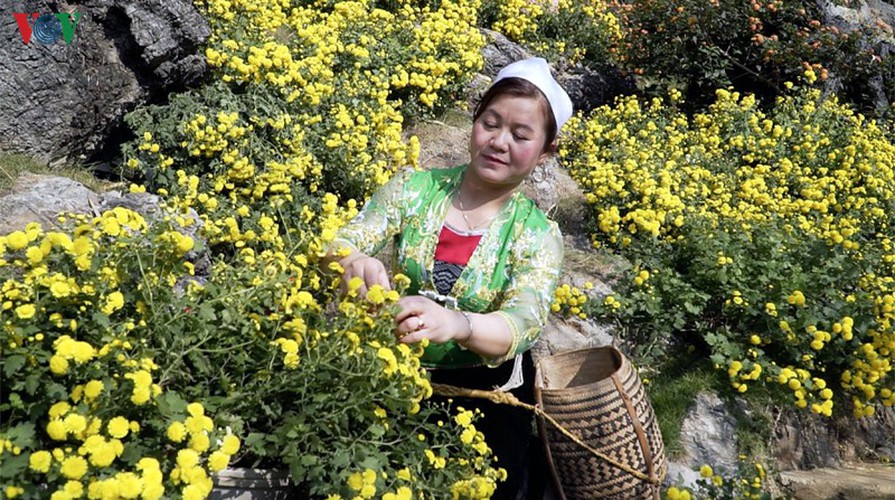 exploring pictureque moc mountain in moc chau hinh 6