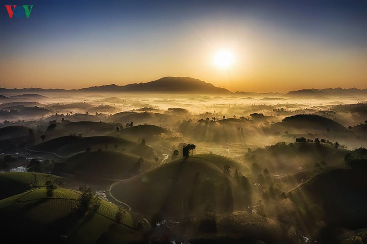 exploring beautiful long coc tea hills in phu tho amid sunrise hinh 1