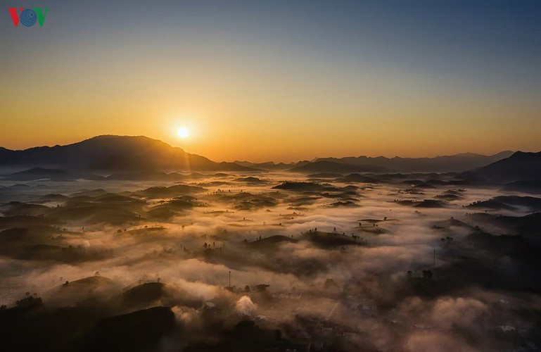 exploring beautiful long coc tea hills in phu tho amid sunrise hinh 2