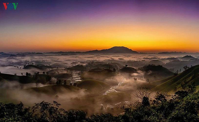 exploring beautiful long coc tea hills in phu tho amid sunrise hinh 3