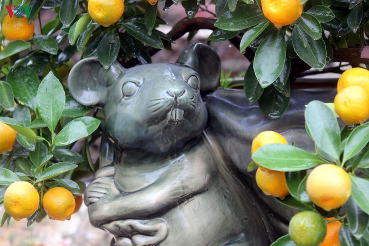 bonsai kumquat trees of tu lien village attracts customers hinh 3