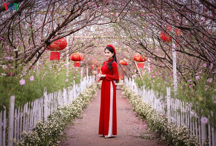 crowds flock to nhat tan flower village as tet draws near hinh 8