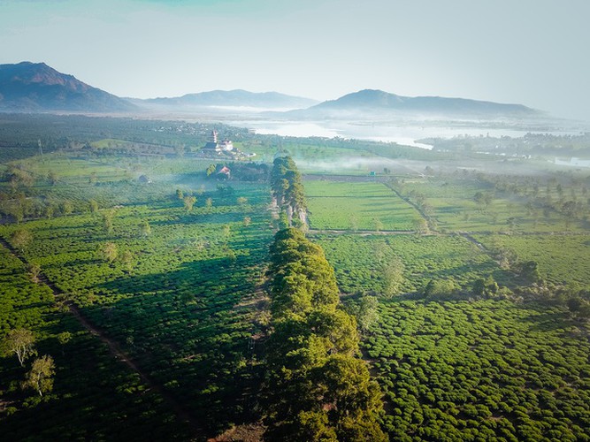 exploring ancient buu minh pagoda in gia lai hinh 6