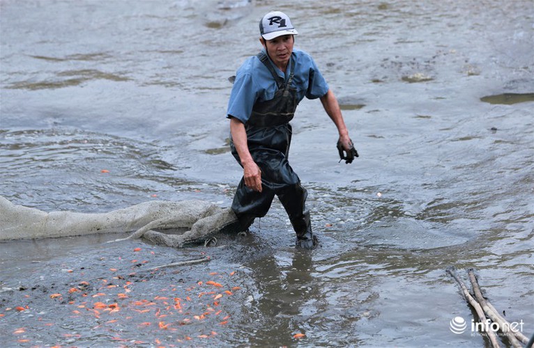 business booms in red carp farming village ahead of kitchen gods day hinh 2