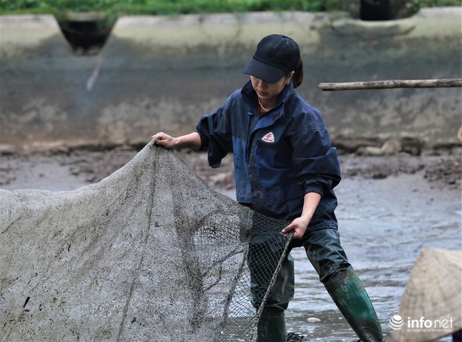 business booms in red carp farming village ahead of kitchen gods day hinh 4