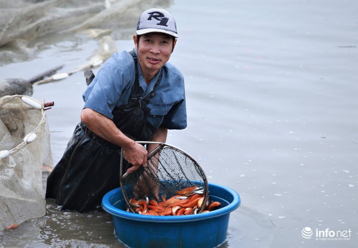 business booms in red carp farming village ahead of kitchen gods day hinh 9