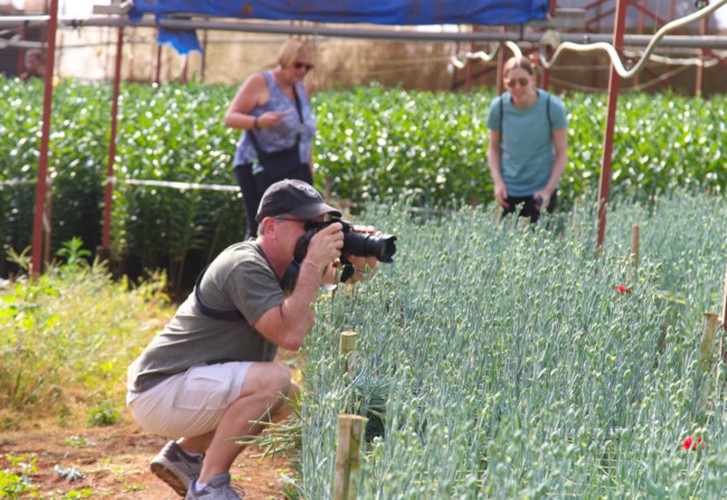 van thanh flower village in da lat gears up for tet hinh 8