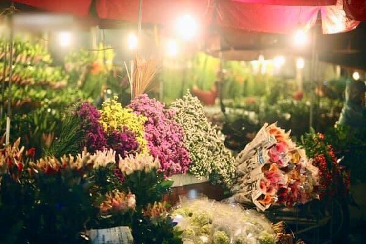 hanoi's largest flower market enjoys bustling atmosphere ahead of tet hinh 1