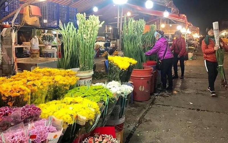 hanoi's largest flower market enjoys bustling atmosphere ahead of tet hinh 8