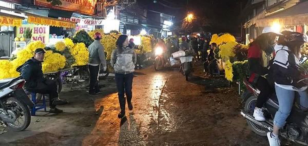 hanoi's largest flower market enjoys bustling atmosphere ahead of tet hinh 9