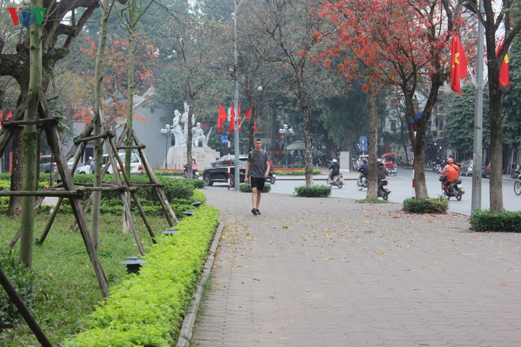 foreign tourists in hanoi wander streets without face masks hinh 4