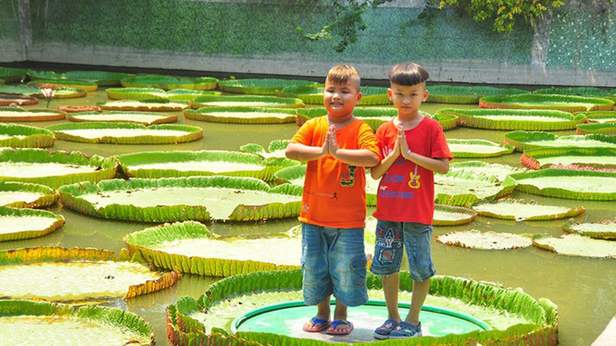 exploring the unique lotus leaf pagoda of dong thap province hinh 2